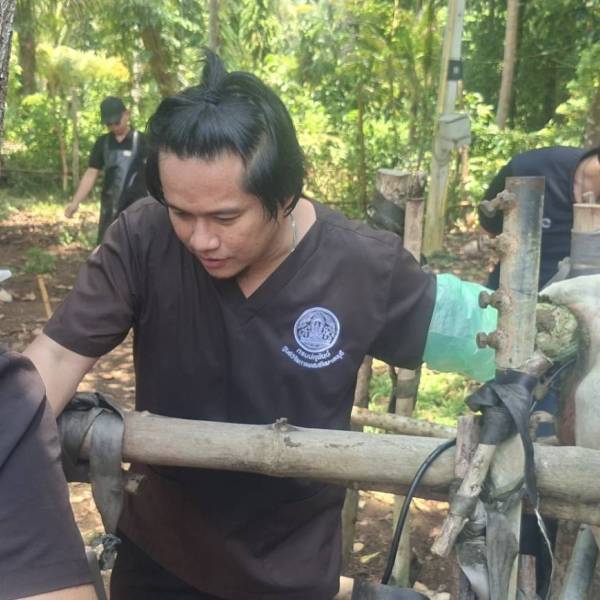 ศูนย์วิจัยการผสมเทียมและเทคโนโลยีชีวภาพชลบุรี ร่วมกับปศุสัตว์จังหวัดตราด ปฏิบัติงานตรวจท้อง และแก้ไขปัญหาระบบสืบพันธุ์