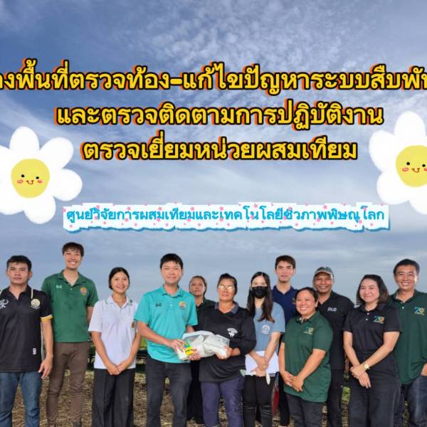 ลงพื้นที่ตรวจท้อง แก้ไขปัญหาระบบสืบพันธุ์ ตรวจติดตามการปฏิบัติงาน และตรวจเยี่ยมหน่วยผสมเทียม