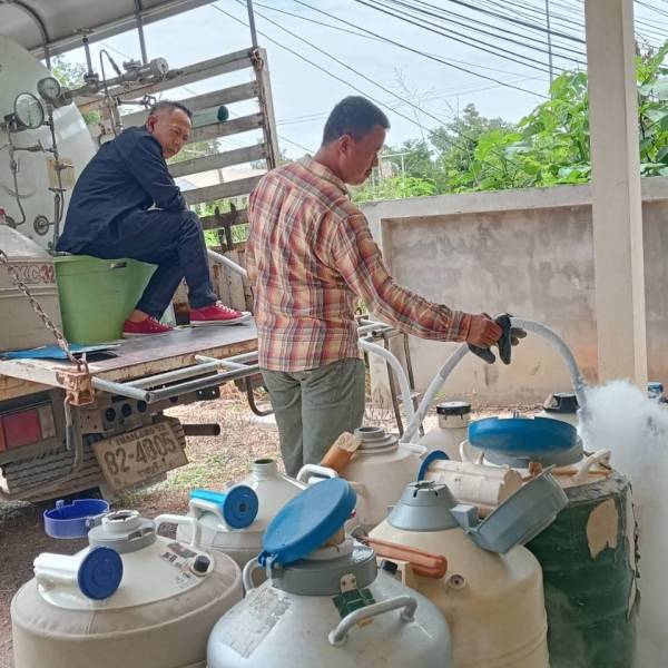 จ่ายน้ำเชื้อแช่แข็ง,ไนโตรเจนเหลว พร้อมทั้งอุปกรณ์ผสมเทียมในพื้นที่จังหวัด ราชบุรี