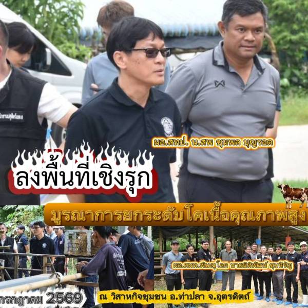 15 กรกฎาคม 2569 ลงพื้นที่เชิงรุกยกระดับโคเนื้อคุณภาพสูง