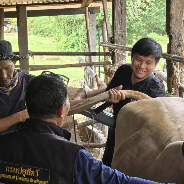 🩺แก้ไขปัญหาระบบสืบพันธุ์โคเนื้อในโครงการโคบาลบูรพา ประจำเดือนกรกฎาคม 69🐂