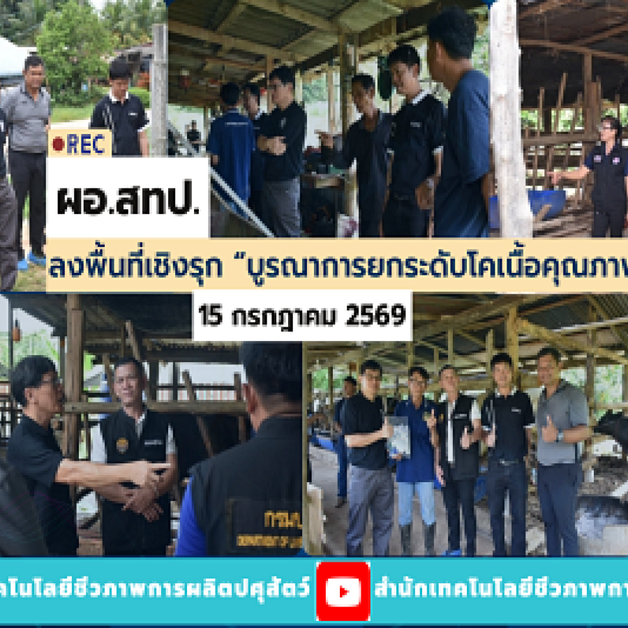 ลงพื้นที่เชิงรุก “บูรณาการยกระดับโคเนื้อคุณภาพสูง”
