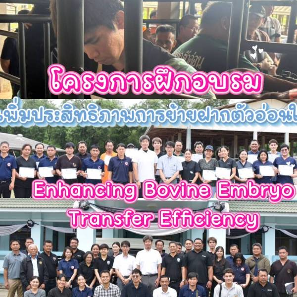 วันที่ 4- 6 สิงหาคม 2569 โครงการฝึกอบรมหลักสูตรการเพิ่มประสิทธภาพการย้ายฝากตัวอ่อนในโค
