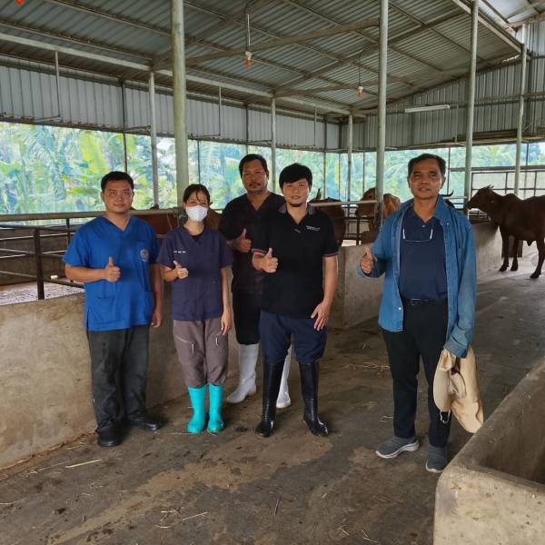 ศูนย์วิจัยการผสมเทียมฯชลบุรี แก้ไขปัญหาระบบสืบพันธุ์โคเนื้อ