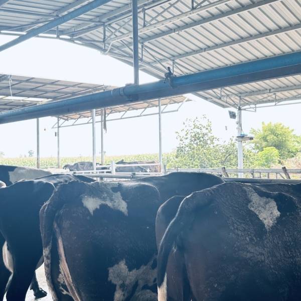 ตรวจแก้ไขปัญหาระบบสืบพันธุ์