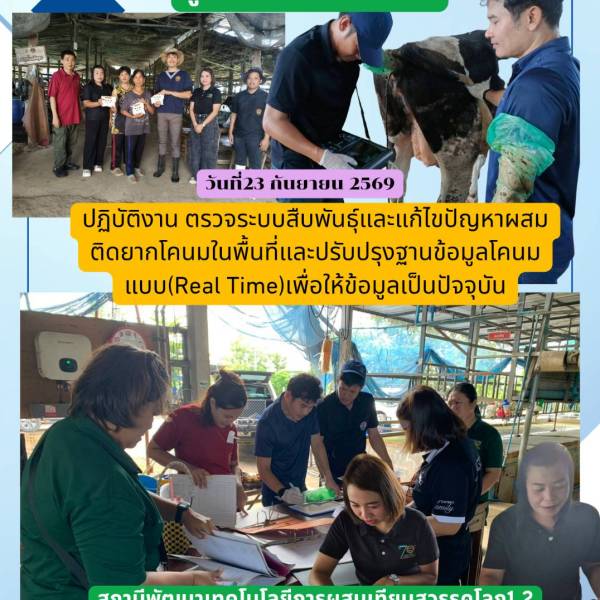 วันพุธที่ 23 กันยายน 2569 ศผท.พิษณุโลกออกปฏิบัติงานแก้ไขระบบสืบพันธุ์และปรับปรุงฐานข้อมูลโคนมแบบReal Time